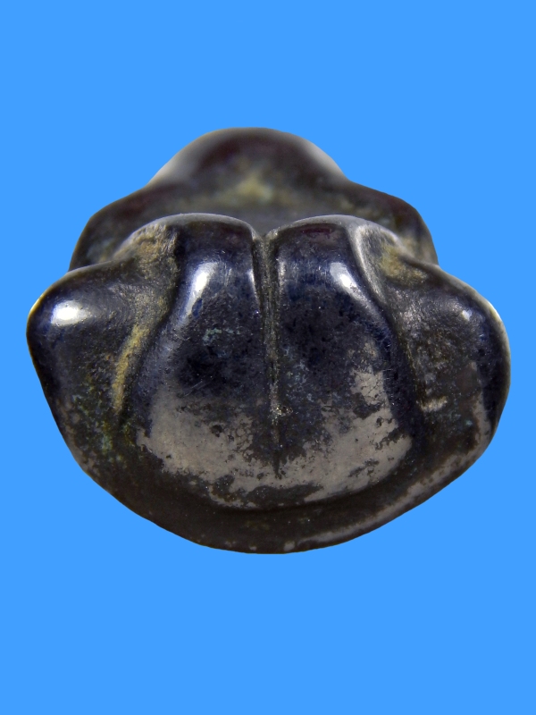 พระปิดตา หลวงปู่จันทร์ วัดบ้านยาง จ.นครปฐม พิมพ์หูกระต่าย เนื้อเมฆพัด