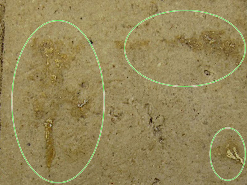 พระสมเด็จบางขุนพรหม พิมพ์ใหญ่ วัดใหม่อมตรส กทม. ปี 2517 "แก่ผงและมวลสาร"