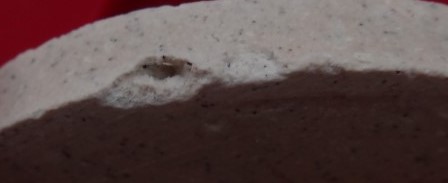 พระชุด 14 พิมพ์นิยม หลวงปู่ภู ปี 35 เคาะเดียว