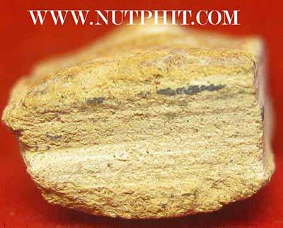 พระแผง ตัดเดี่ยว เนื้อดิน กรุพระธาตุนาคูน+บัตรรับรองพระแท้*169