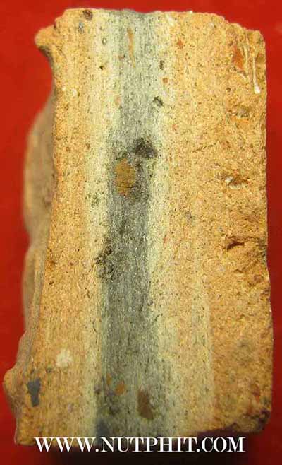 พระแผง ตัดเดี่ยว เนื้อดิน กรุพระธาตุนาคูน+บัตรรับรองพระแท้*160