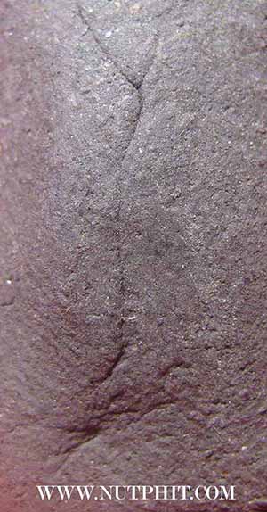 หลวงปู่ทวด วัดช้างให้ พ.ศ.๒๕๓๗*293