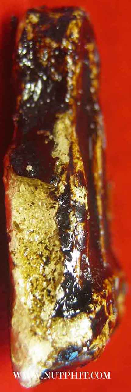 พระปิดตา ลป.เหรียญ เส้นด้ายผงจุ่มรัก พ.ศ.๒๔๙๗+บัตรรับรองพระแท้*11