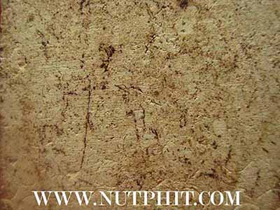 สมเด็จจัมโบ้(ใหญ่มาก)วัดระฆังโฆสิตาราม พ.ศ.๒๕๐๗ (เจ้าคุณเที่ยง)*8