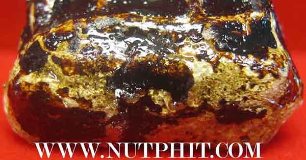 พระปิดตา ลป.เหรียญ เส้นด้ายผงจุ่มรัก พ.ศ.๒๔๙๗+บัตรรับรองพระแท้*11