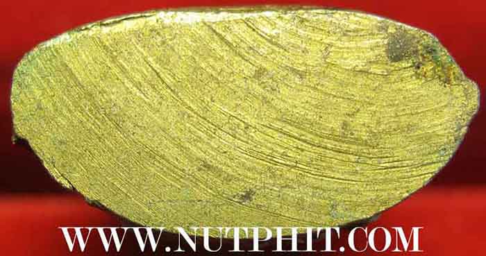 รูปหล่อเล็กพระพุทธโสธร-พระพุทธชินราชน้ำทองกระจายสวยยังกะพระทองคำ*211