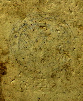 สมเด็จวัดระฆัง 100ปี ไข่ปลาเลือน ตรายางเทพ พร้อมกล่องกรรมการ