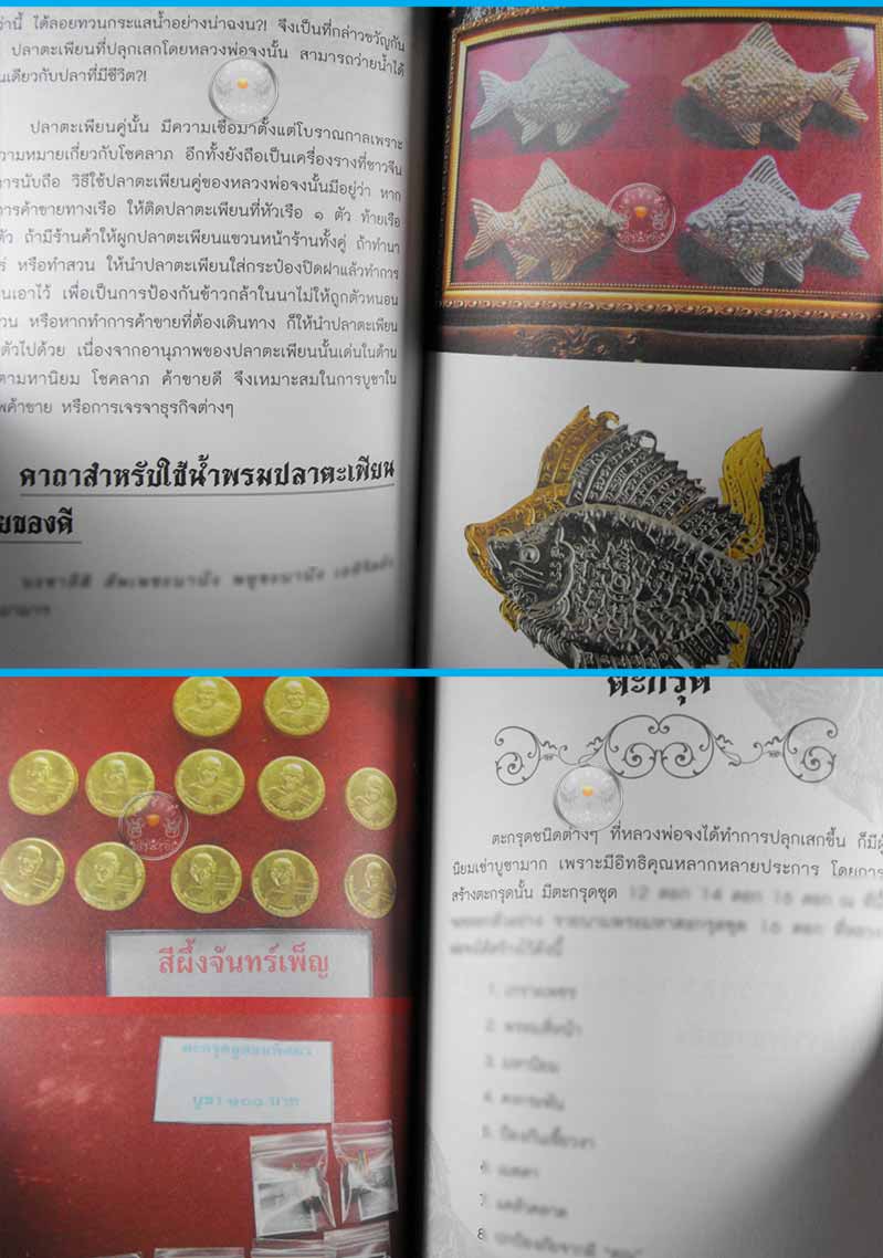 * *พิเศษ 120 หนังสือ "ตะเพียนเงิน ตะเพียนทอง หลวงพ่อจง" วัดหน้าต่างนอก (แถมปลาตะเพียนเงิน-ทองในเล่ม)