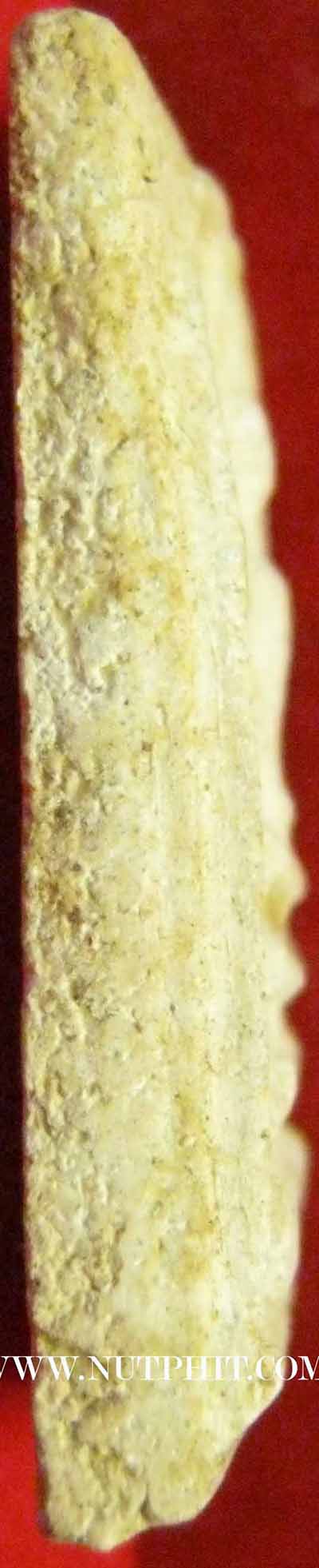 แพ็คคู่สององค์สมเด็จวัดระฆังโฆสิตาราม พ.ศ.๒๕๐๗*19