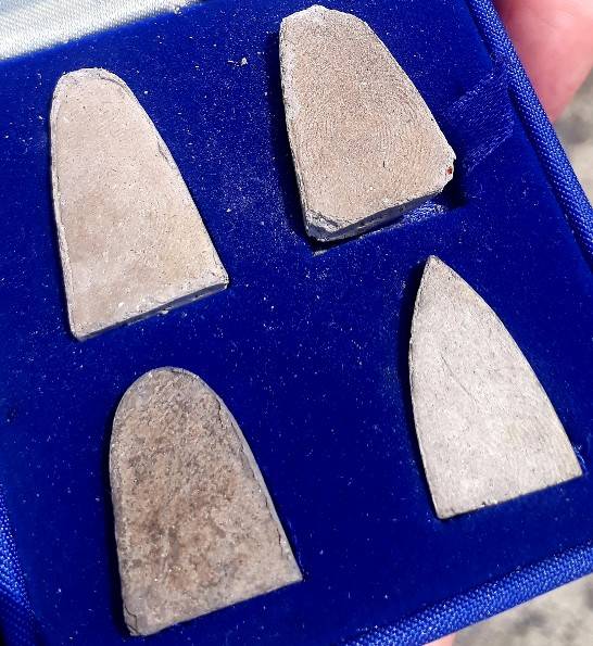 ชุดหลวงปู่ทวด ภปร. เนื้อว่าน รุ่น"รัตนรังศรี"-อาจารย์นองปลุกเสกปี41