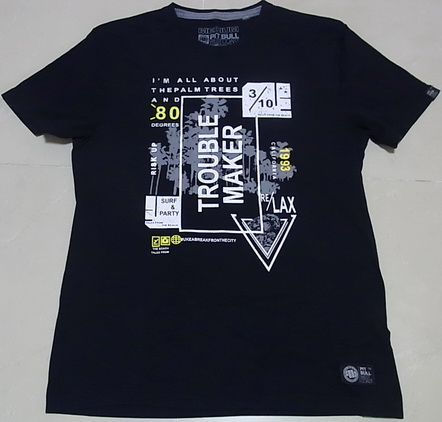 T-shirt GIORDANO ของแท้ size L 2ตัว แถม เสื้อของ PIT BULL size L..สภาพดีทุกตัว ไม่ขาดไม่ย้วย