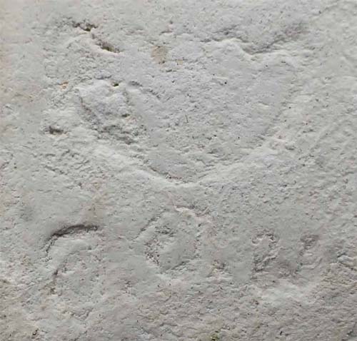 พระพุทธมงคลมหาลาภ แม่ชีบุญเรือน พ.ศ.๒๔๙๙+บัตรรับรองพระแท้*105