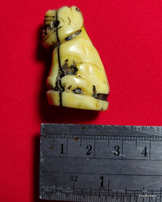 เขี้ยวเสือแกะศิลป์หลวงพ่อปาน วัดบางเหี้ย พิมพ์อ้าปาก จ.สมุทรปราการ