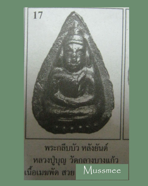 กลีบบัวเนื้อเมฆพัต หลวงปู่บุญ วัดกลางบางแก้ว ### เคาะเดียว # ##