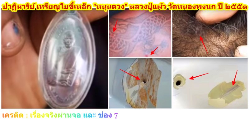 #ประสบการณ์ *** เหรียญใบขี้เหล็ก "หนุนดวง" (หลวงปู่แผ้ว วัดหนองพงนก) ปี ๒๕๕๑ *** สวยมาก เดิมๆ