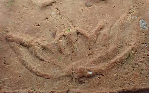 พระพุทโธน้อย แม่ชีบุญเรือน หลังยันต์เฑาะว์ดอกบัว+บัตรรับรองพระแท้*33