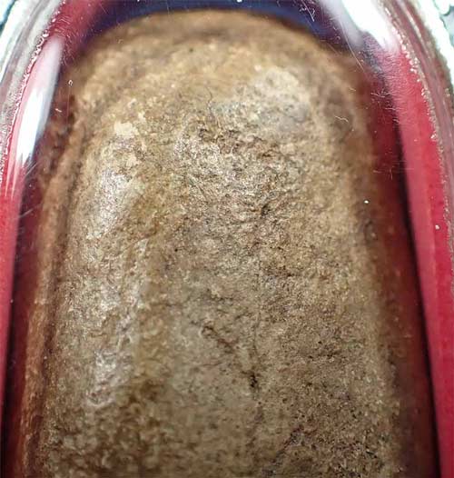 หลวงปู่ศุข ปากคลองมะขามเฒ่าปลุกเสกเมื่อ พ.ศ.๒๔๖๐+บัตรรับรองพระแท้*163