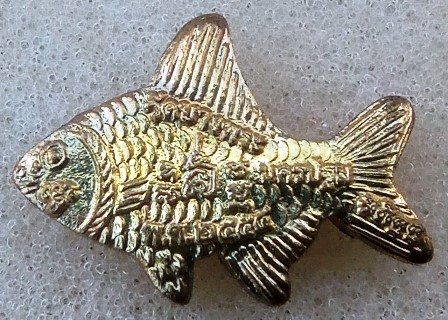 เสือกับปลาวัดบางพระ