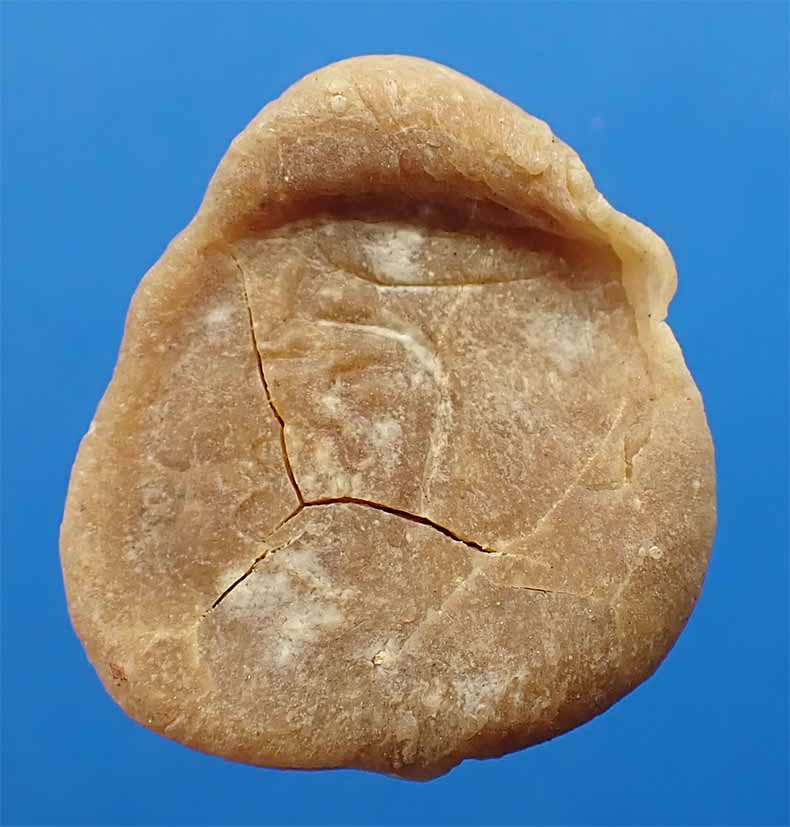 ขายขาดทุน!!!พระปิดตาฐานบัว วัดขวิด นนทบุรี พระอธิการรอด วัดขวิด+บัตรรับรองพระแท้*74