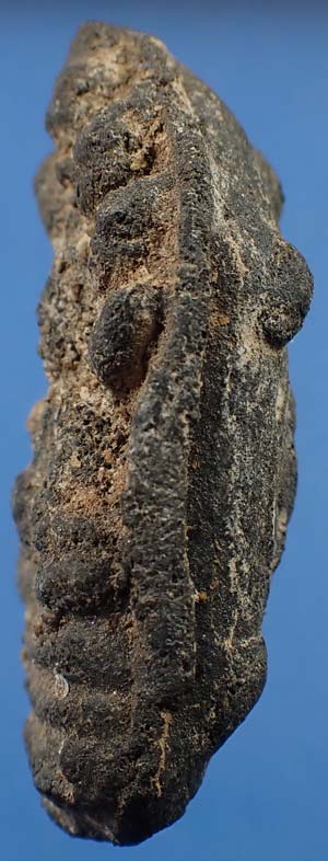 พระนาคปรก หลวงพ่อหวาด วัดเพชรพลี จังหวัดเพชรบุรี พ.ศ.๒๔๘๐ เนื้อแร่ ที่สุดแห่งความหายาก*105