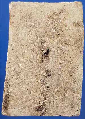 พระสมเด็จ(พิมพ์พระแก้ว)บรรจุกรุ พ.ศ.๒๕๐๐ วัดหลักสี่ราษฎร์สโมสร สมุทรสาคร แท้เก่าแก่จำนวน 3 องค์*198