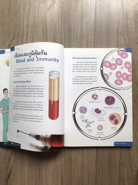 หนังสือ ภายในร่างกายมนุษย์ เล่มใหญ่มีประโยชน์ กระดาษมัน สีสด อ่านเข้าใจง่ายเหมาะกับเด็ก
