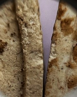 พระชุด3 องค์ เนื้อผง หลวงพ่อลัด วัดนาสร้าง ชุมพร ปี40 เคาะเดียว