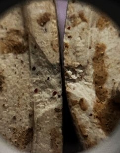 พระชุด3 องค์ เนื้อผง หลวงพ่อลัด วัดนาสร้าง ชุมพร ปี40 เคาะเดียว