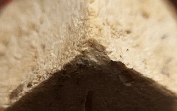 พระชุด3 องค์ เนื้อผง หลวงพ่อลัด วัดนาสร้าง ชุมพร ปี40 เคาะเดียว