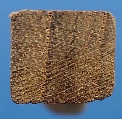 นางโกยเงิน นางโกยทอง ในราคาสุดแบ่งปัน*217