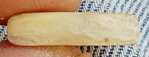 สิงห์หลวงพ่อหอม วัดชากหมาก