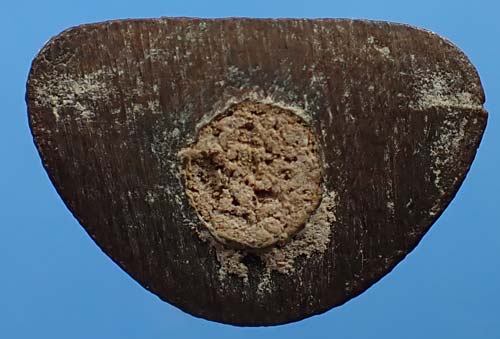 ขายขาดทุนยับ!!!พระพุทธโคดม วัดป่าประดู่ ระยอง+บัตรรับรองพระแท้*45