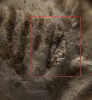 พระชุด3 องค์ เนื้อผง หลวงพ่อลัด วัดนาสร้าง ชุมพร ปี40 เคาะเดียว