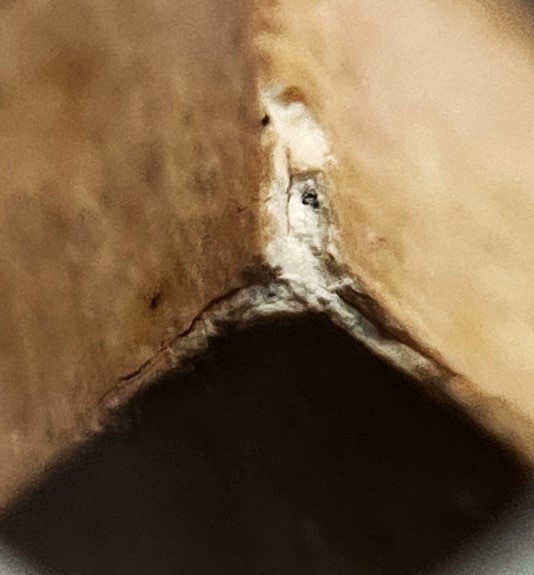 พระชุด3องค์ สิวลี-นางกวัก-สังกัจจายน์  9เกจิดัง ปลุกเสก(ลป.หงษ์) วัดท่ากระทุ่ม ปราจีนบุรี เคาะเดียว