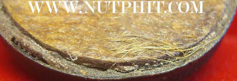 ตลับยาหม่องหลังหน้าผากเสือ หลวงพ่อเต๋ คงทอง ปี ๒๕๑๘+บัตรรับรองพระแท้*208