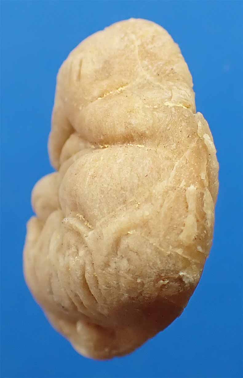 ขายขาดทุน!!!พระปิดตาฐานบัว วัดขวิด นนทบุรี พระอธิการรอด วัดขวิด+บัตรรับรองพระแท้*74