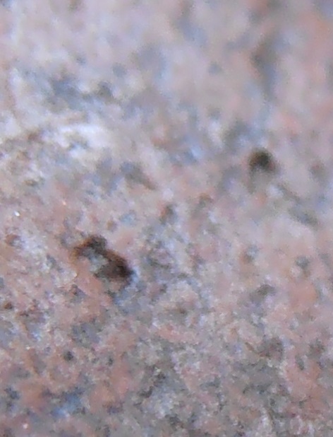 พระขุนแผนพลายคู่ตัดเดี่ยว 