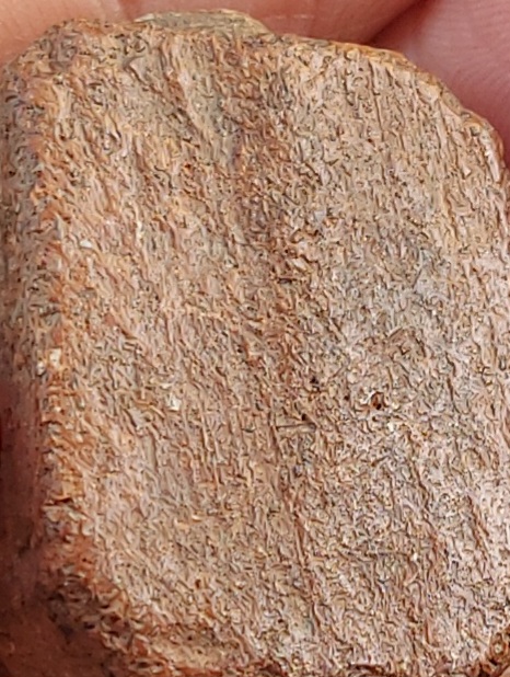 พระหลวงพ่อปาน วัดบางนมโค อยุธยา