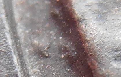 เหรียญหลวงพ่อเนื่อง(น บน)วัดจุฬามณี สมุทรสงคราม ปี๒๕๑๑ รุ่นแรก