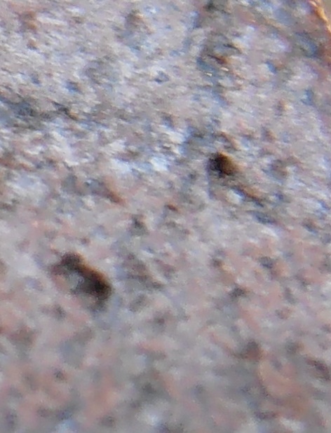 พระขุนแผนพลายคู่ตัดเดี่ยว 