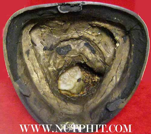 พระบูชาหลวงพ่อสงฆ์ ปี ๒๑ สภาพสวยกริ๊บผิวหิ้งเดิม+บัตรรับรองพระแท้*230