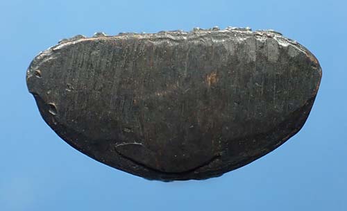 พระกริ่งมงคลทิพย์มุนี วัดพระเชตุพนฯ พ.ศ.๒๕๑๒+บัตรรับรองพระแท้*232