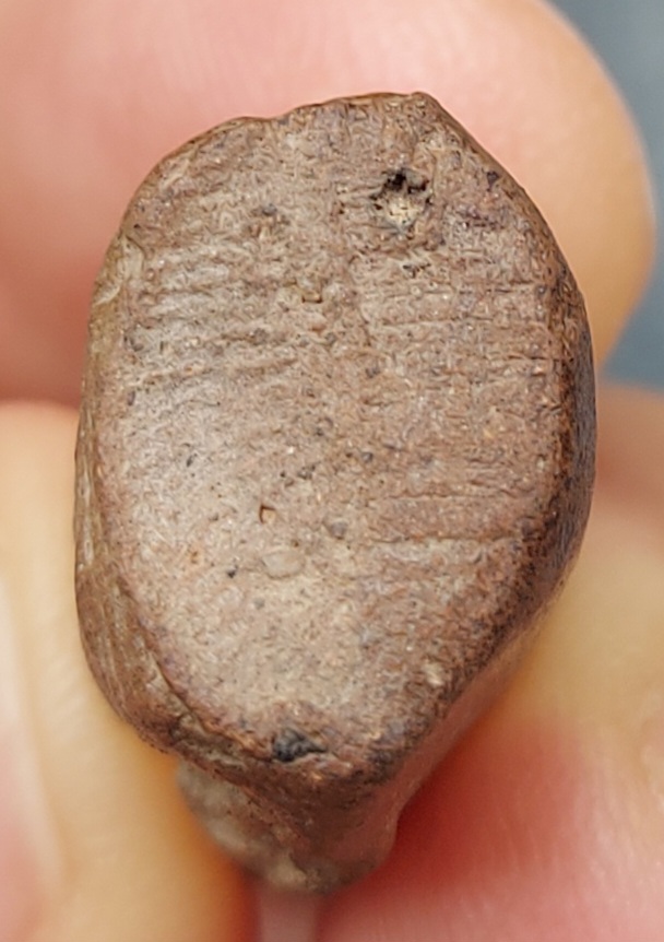 พระเลี่ยง 