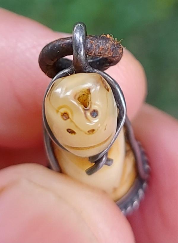 เสือแกะจากเขี้ยว เลี่ยมซุ้มเงิน