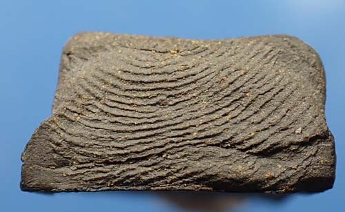 พระรอดวัดมหาวัน พ.ศ.๒๕๑๘(หลวงปู่โต๊ะ ปลุกเสก)+บัตรรับรองพระแท้*49