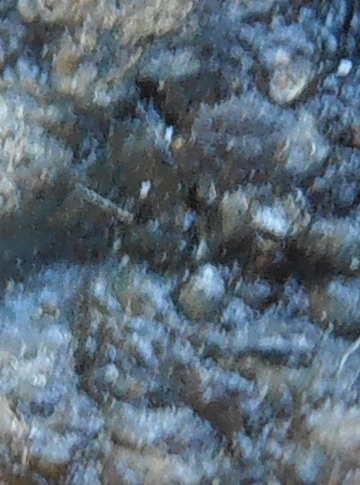 รูปหล่อโบราณหลวงปู่เทียน วัดโบสถ์ ปทุมธานี พิมพ์เล็ก