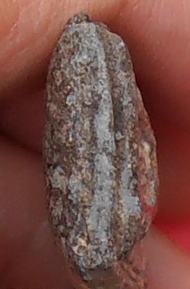 พระกรุวัดท้ายตลาด พิมพ์เจดีย์