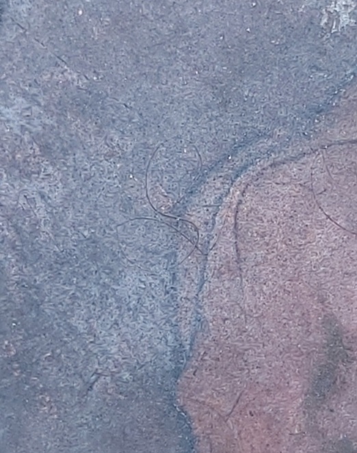 เหรียญหลวงปู่ไข่ วัดเชิงเลน กทม. 