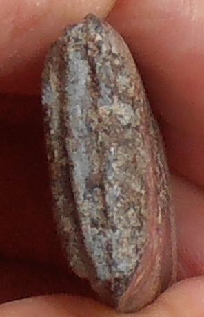 พระกรุวัดท้ายตลาด พิมพ์เจดีย์