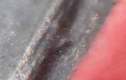 เหรียญหลวงพ่อเนื่อง(น บน)วัดจุฬามณี สมุทรสงคราม ปี๒๕๑๑ รุ่นแรก